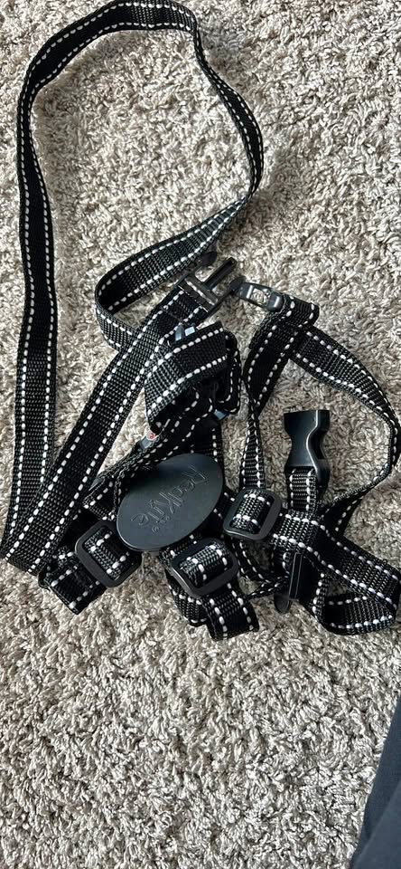 Red kite toddler harness second-hand kitesurf equipment
