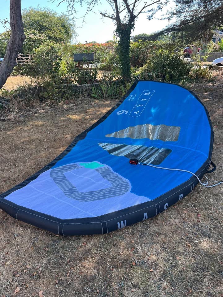 Ozone Wasp V3 5M
